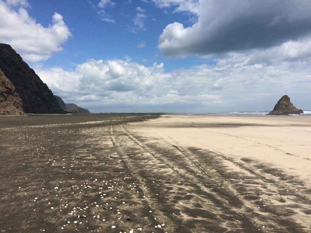 black_sand_beach_karekare